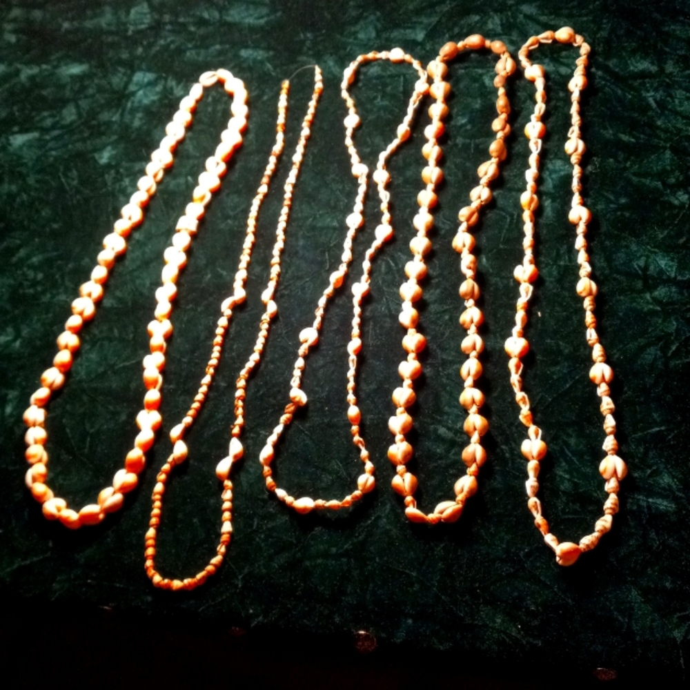 F-23 Sea Shell necklace lot